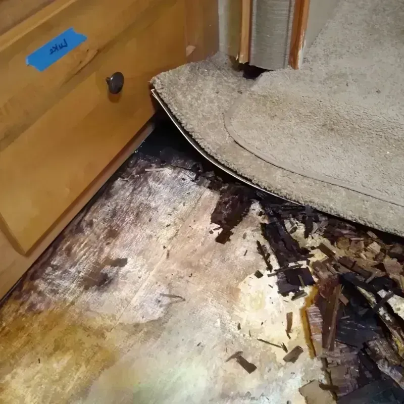 Wood Floor Water Damage in Chanhassen, MN